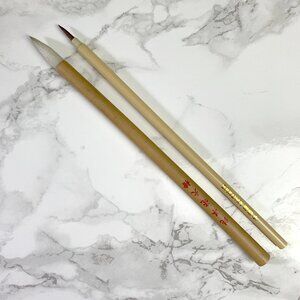 Assortment of Two Paint Brushes